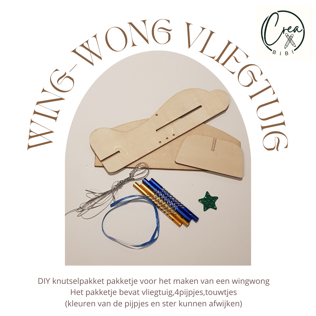 Knutselpakketje wing wong vliegtuig (34)