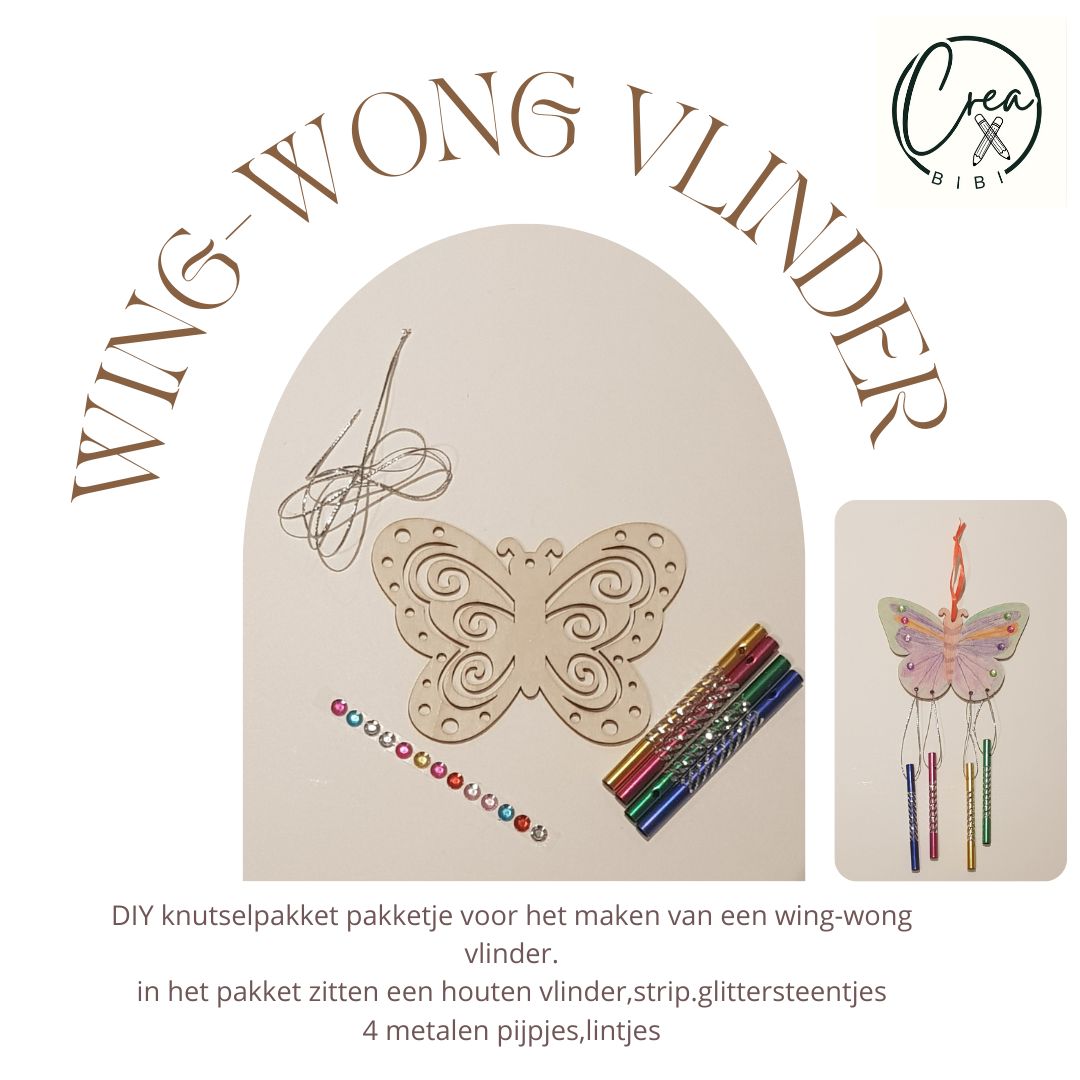 Knutselpakketje wingwong vlinder klein (17)
