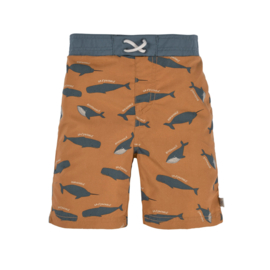 Zwemshort whale met zwempamper