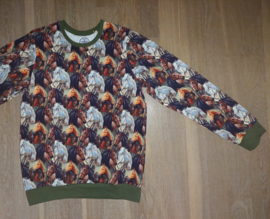 3564 - Paarden  sweater maat 134-140 en 146-152