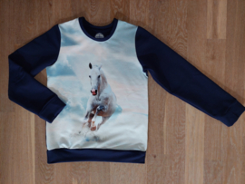3562 - Paarden sweater (3)
