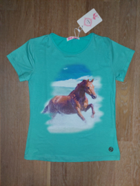 3458 - paarden shirt