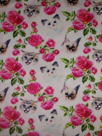 4510 - Jurkje wit met poezen / katten