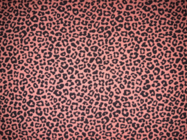 4419 - Leopard meisjes jurkje
