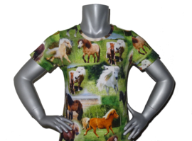 4186 - Paarden / pony jurkje