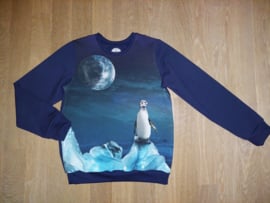 3593 -  Pinguïn sweater