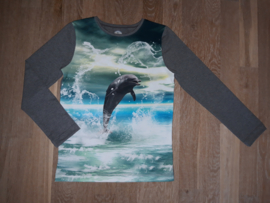 3505 - Dolfijnen longsleeve of shirt maat 122-128, 134-140, 146-152