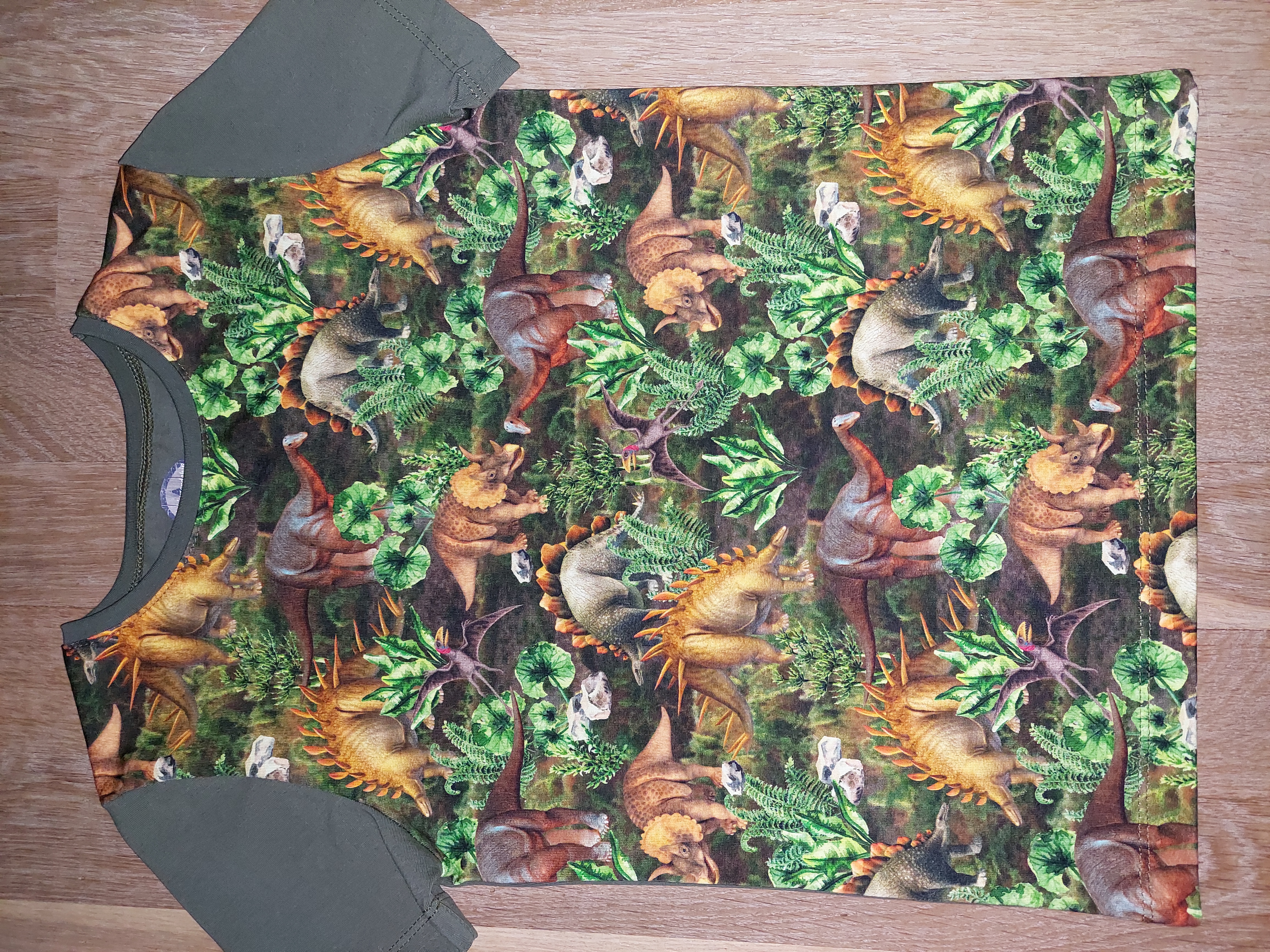 3554 - Dino longsleeve