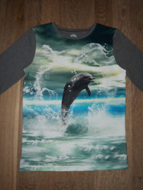 3505 - Dolfijnen longsleeve of shirt maat 122-128, 134-140, 146-152