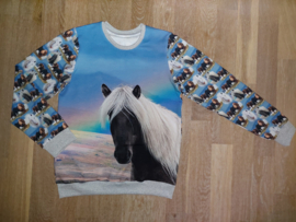 3560 - paarden sweater (1)