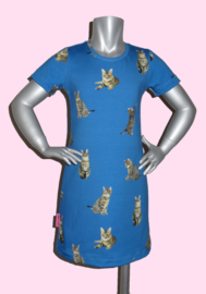 4213 - Poezen jurkje blauw (ook lange mouwen)