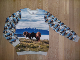3561 - Paarden sweater (2)