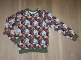 3564 - Paarden  sweater maat 134-140 en 146-152