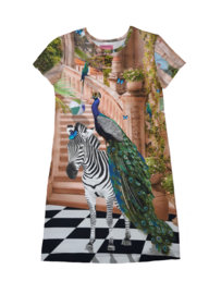4454 - Zebra met pauw jurkje