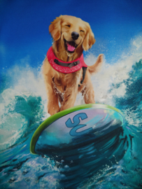3577 - Hond op surfboard shirt