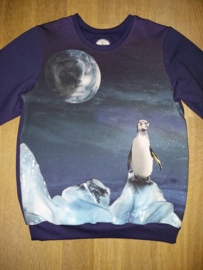 3593 -  Pinguïn sweater