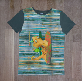 3535 - Shirt met draakjes