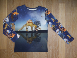 3571 - Longsleeve met vos, poes, konijn en egeltje