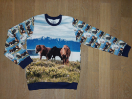 3561 - Paarden sweater (2) maat 110-116