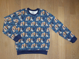 3588 - Honden sweater