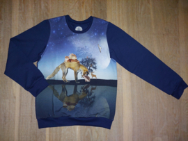 3597  -  Sweater met vos, poes, konijn en eekhoorn
