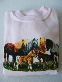 sweater met shetlanders DN040 maat 116