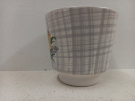 Frankton gele bloemen 2 bloempotten / Frankton yellow flowers 2 planters