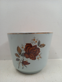 Frankton rozen rood 2 bloempotten / Frankton roses red 2 planters