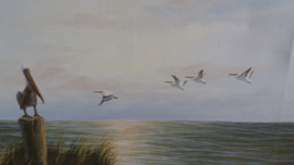 Stilleven met Pelikanen John Strevens / Still live with Pelicans John Strevens