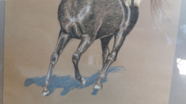 Harry van Zomeren doek met paard. / H. van Zomeren painting with horse