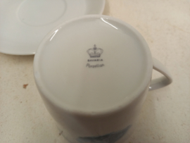 Bavaria kop en schotel met schaats afbeelding / Bavaria cup and saucer with skate image