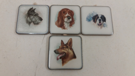 Lief honden tegeltje 6 centimeter / Sweet dog tile 2.3 inch