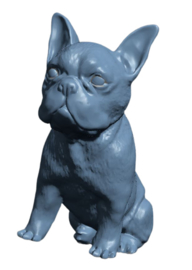 Franse Bulldog  3D mal