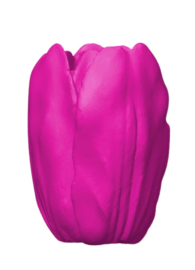grote tulp