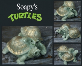 Soapy's Turtles mal
