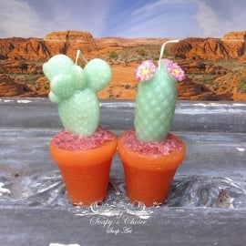 cactus kaarsmal