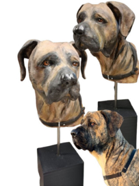 3D portret van je huisdier