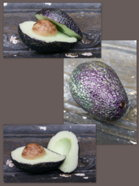 Avocado mal