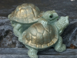 Soapy's Turtles mal