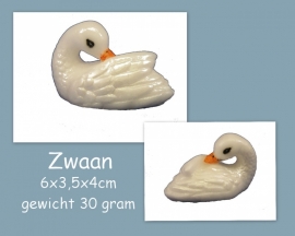 Zwaan