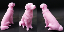 Golden Retriever 3D mal