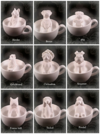 teacup dogs mal