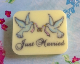 Just Married 1 mal
