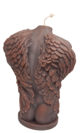 male torso met vleugels