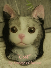 Cat mold