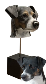 3D portret van je huisdier