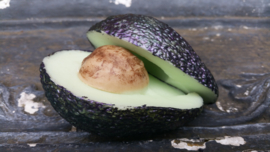 Avocado mal