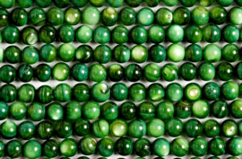 Schelp kraal groen donker 4 mm 50 stuks