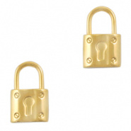 Bedel slot goud RVS