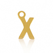 Bedel initial letter X RVS goud